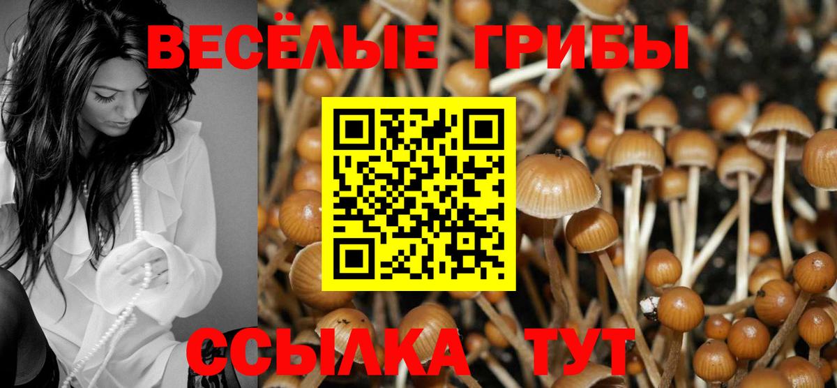 Псилоцибиновые грибы MAGIC MUSHROOMS Россошь
