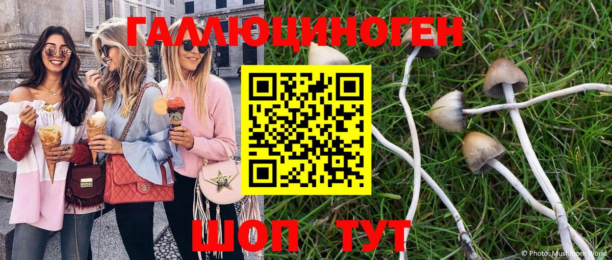 Псилоцибиновые грибы MAGIC MUSHROOMS  Псилоцибиновые грибы прущие грибы  где можно купить   Россошь  Вход с VPN 