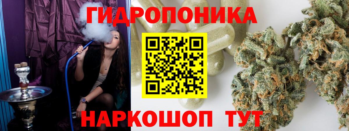 Конопля план Россошь